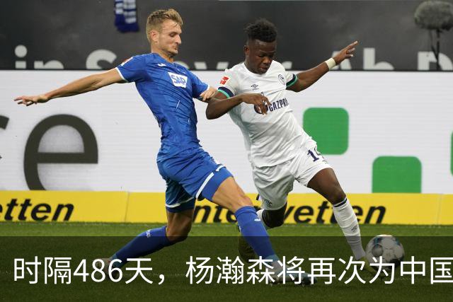 时隔486天，杨瀚森将再次为中国男篮出战